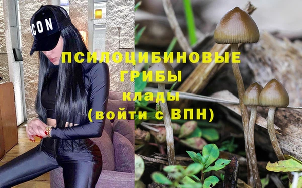 прущие крисы Елизово