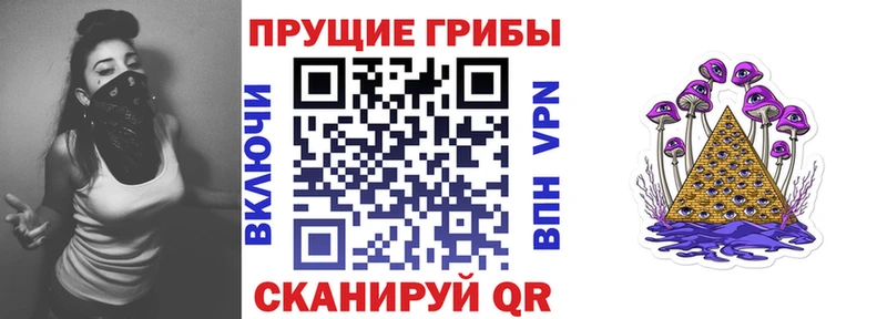 Псилоцибиновые грибы Magic Shrooms  Дятьково 